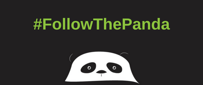 #followthepanda.png